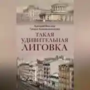 Постер книги Такая удивительная Лиговка