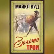 Постер книги Золото Трои