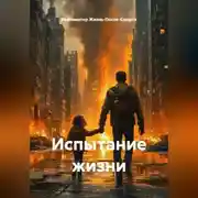 Постер книги Испытание жизни