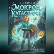Постер книги Хроники мокрой катастрофы