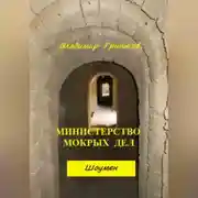 Постер книги Шоумен. Министерство мокрых дел