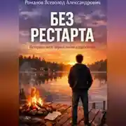 Постер книги Без рестарта