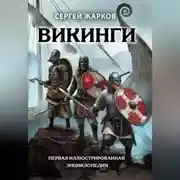 Постер книги Викинги