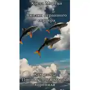 Постер книги Как рыбы Прошку-подкидыша хоронили