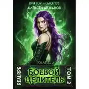 Постер книги Класс: Боевой Целитель. Том 2