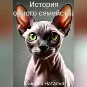 Постер книги История одного семейства.