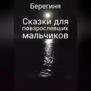 Постер книги Сказки для повзрослевших мальчиков