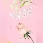 Постер книги Сказка о Розе и тихом свете