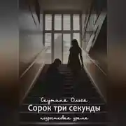 Постер книги Сорок три секунды