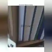 Постер книги Пустое