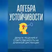 Постер книги Алгебра устойчивости.  Деньги, решения и ответственность на длинной дистанции
