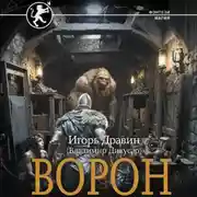 Постер книги Ворон