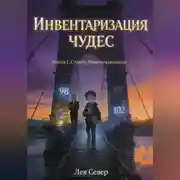 Постер книги ИНВЕНТАРИЗАЦИЯ ЧУДЕС