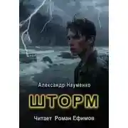 Постер книги Шторм