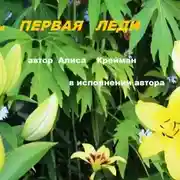 Постер книги ПЕРВАЯ ЛЕДИ