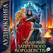Постер книги Академия Запретного королевства