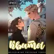 Постер книги Квиты