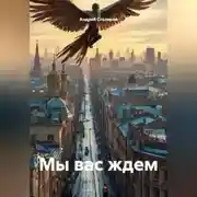 Постер книги Мы вас ждем