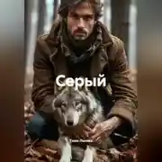 Постер книги Серый
