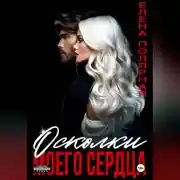 Постер книги Осколки моего сердца