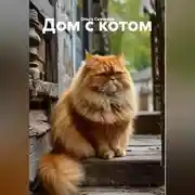 Постер книги Дом с котом