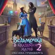Постер книги Ведьмочка в Академии Магов – 2