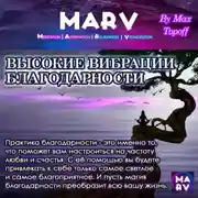 Постер книги Высокие Вибрации Благодарности