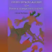 Постер книги Тропа яркой жизни, или Путь к внутренней свободе