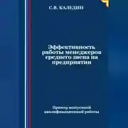 Постер книги Эффективность работы менеджеров среднего звена на предприятии