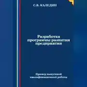 Постер книги Разработка программы развития предприятия. Пример выпускной квалификационной работы