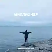 Постер книги Миллионер