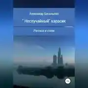 Постер книги «Неслучайный» карасик