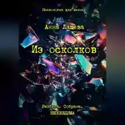 Постер книги Из осколков