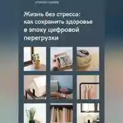 Постер книги Жизнь без стресса: как сохранить здоровье в эпоху цифровой перегрузки