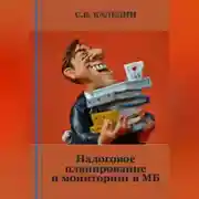 Постер книги Налоговое планирование и мониторинг в МБ