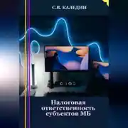Постер книги Налоговая ответственность субъектов МБ