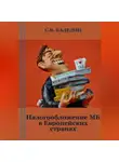 Сергей Каледин - Налогообложение МБ в Европейских странах