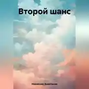 Постер книги Второй шанс