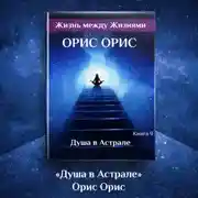 Постер книги Душа в Астрале