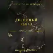 Постер книги Денежный канал