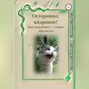 Постер книги Осторожно: Кадровик! Как выживают с таким диагнозом