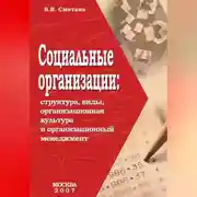 Постер книги Социальные организации: структура, виды, организационная культура и организационный менеджмент