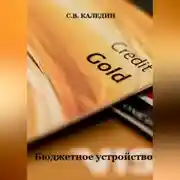 Постер книги Бюджетное устройство