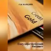 Постер книги Государственный бюджет
