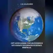 Постер книги Организация управления в крупных промышленных фирмах