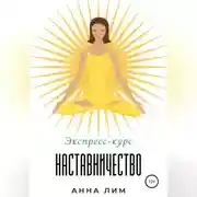 Постер книги Наставничество. Экспресс-курс