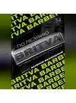 Валерий Безлюдный - По лезвию BRITVA: Заповеди успешного управленца