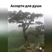 Постер книги Ассорти для души