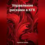 Постер книги Управление рисками