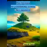 Постер книги Инструкция по успешному успеху без лишнего